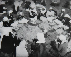 Подвиг женщин в тылу - фото 2