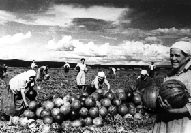 Подвиг женщин в тылу - фото 16