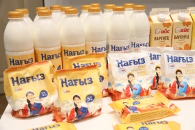 “Aktobe Investment-2022” VII International Investment Forum - photo 3