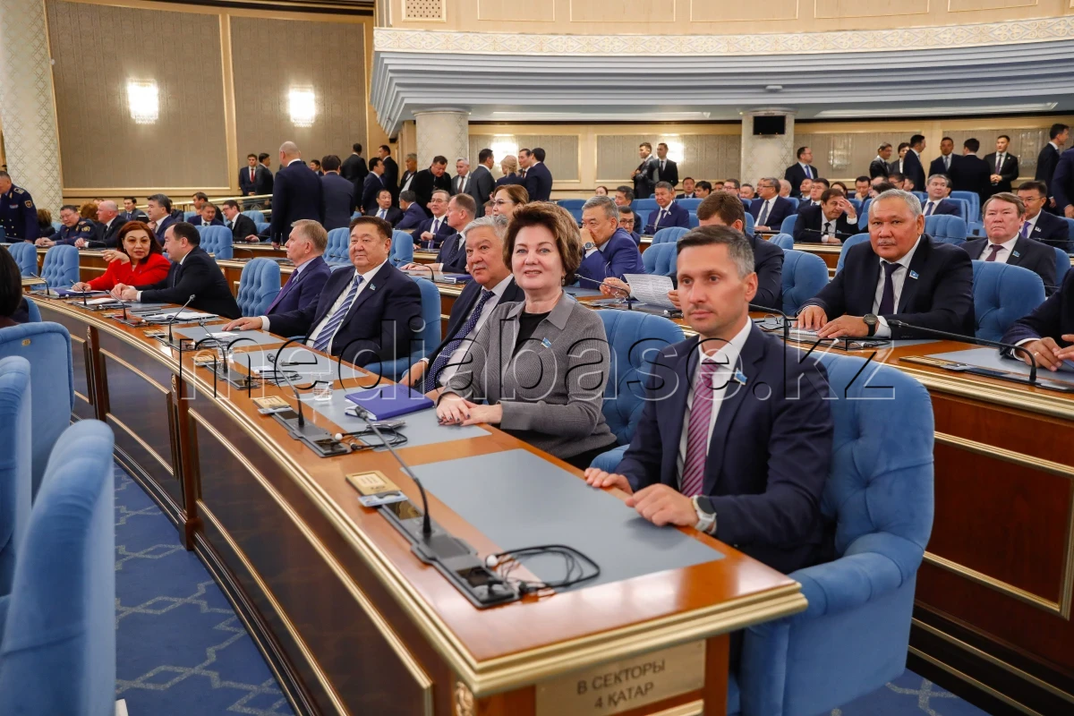 Before the Address: participants gathered for the Parliamentary session - photo 1