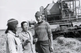 Wheat Harvest - photo 2