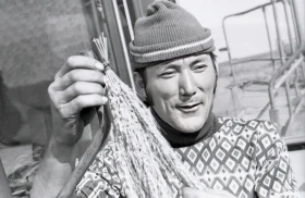 Wheat Harvest - photo 3