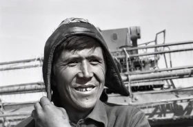 Wheat Harvest - photo 5