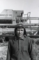 Wheat Harvest - photo 6