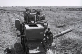 Wheat Harvest - photo 7