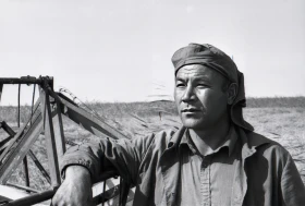 Wheat Harvest - photo 9