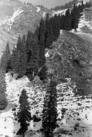 Медеу мұз айдынындағы қысқы сәттер - фото 10