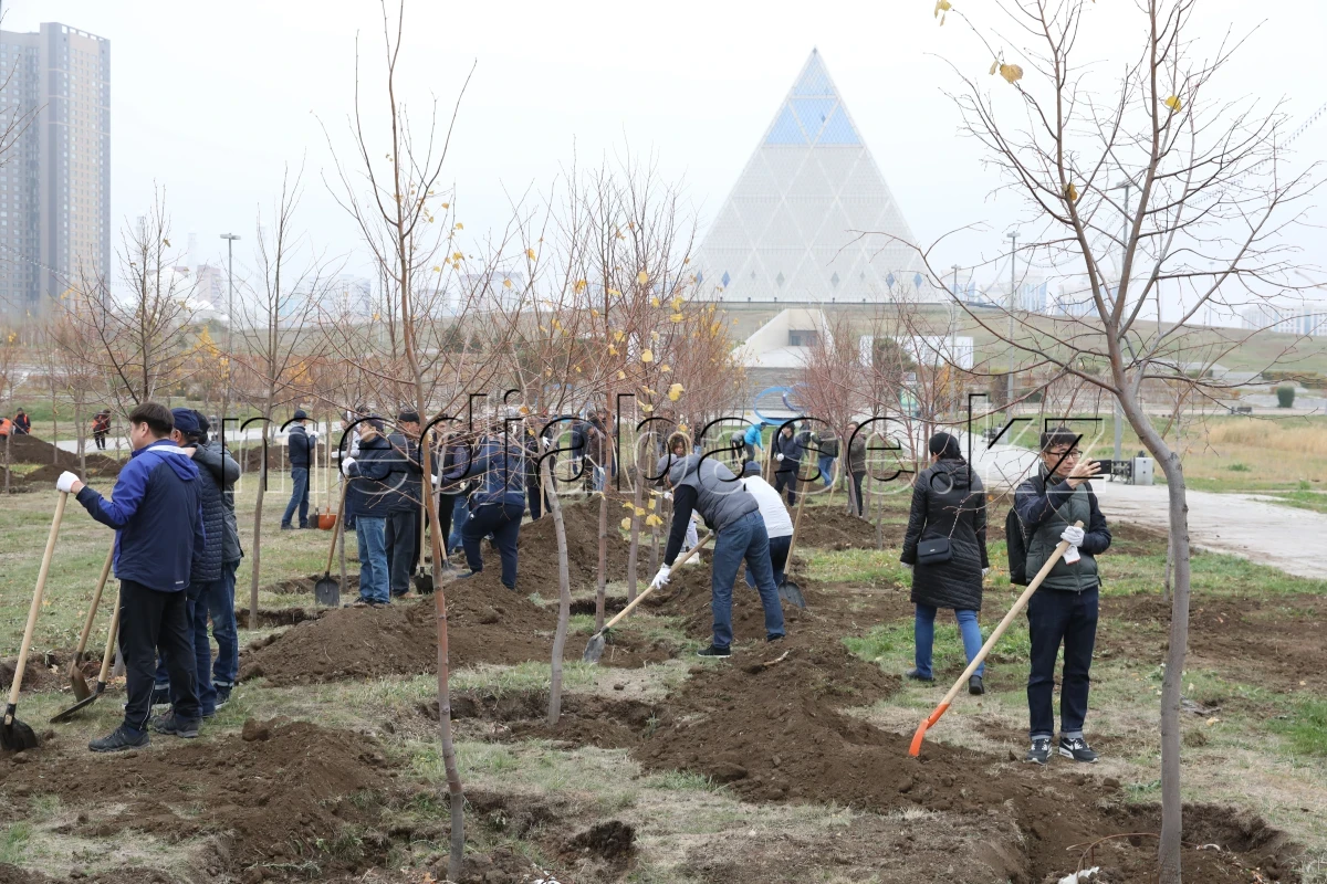 Қазақстандық және шетелдік дипломаттар астанада ағаш отырғызды - фото 1