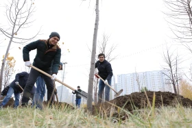 Қазақстандық және шетелдік дипломаттар астанада ағаш отырғызды - фото 2