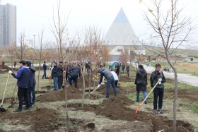 Қазақстандық және шетелдік дипломаттар астанада ағаш отырғызды - фото 4