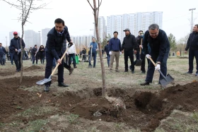 Қазақстандық және шетелдік дипломаттар астанада ағаш отырғызды - фото 5