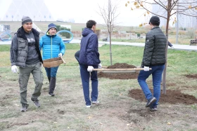 Қазақстандық және шетелдік дипломаттар астанада ағаш отырғызды - фото 9