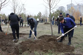Қазақстандық және шетелдік дипломаттар астанада ағаш отырғызды - фото 10