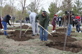 Қазақстандық және шетелдік дипломаттар астанада ағаш отырғызды - фото 13
