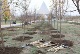 Қазақстандық және шетелдік дипломаттар астанада ағаш отырғызды - фото 17