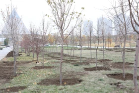 Қазақстандық және шетелдік дипломаттар астанада ағаш отырғызды - фото 18