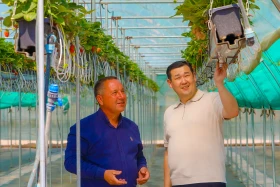 Kazakhstan is reviving the legendary aport apple - photo 10