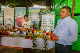 Kazakhstan is reviving the legendary aport apple - photo 6