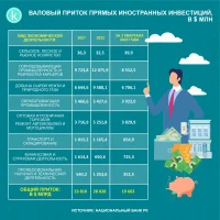 Тікелей шетелдік инвестициялардың жалпы кірісі - фото 1