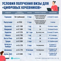 Цифрлық көшпенді виза талаптарын салыстыру - фото 2