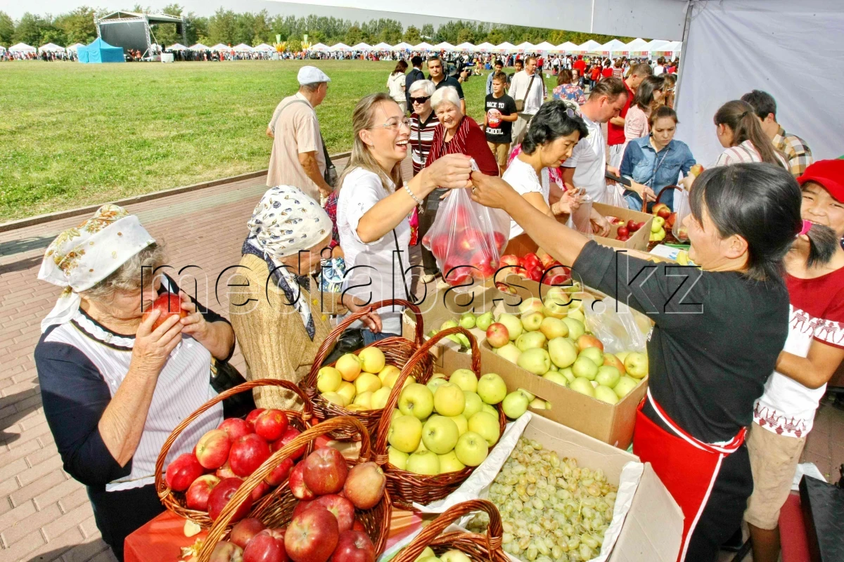 Алматыда дәстүрлі «APPLE FEST» шарасына 150 тонна алма әкелінді - фото 1