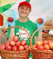 Алматыда дәстүрлі «APPLE FEST» шарасына 150 тонна алма әкелінді - фото 2