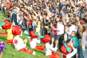 Алматыда дәстүрлі «APPLE FEST» шарасына 150 тонна алма әкелінді - фото 17