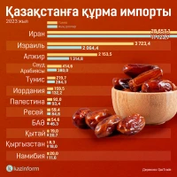 Қазақстанға құрма импорты - фото 1