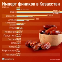 Қазақстанға құрма импорты - фото 2