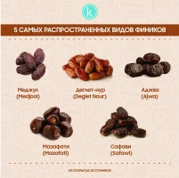 Қазақстанға құрма импорты - фото 12