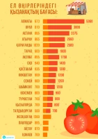 Қазақстандағы көгөністің бағасы - фото 1