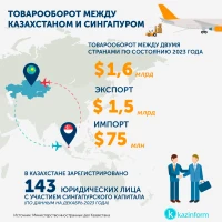 Trade Turnover between Kazakhstan and Singapore - photo 2