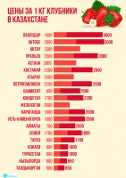 Prices for fruits and berries in Kazakhstan - photo 2