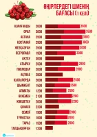 Prices for fruits and berries in Kazakhstan - photo 3