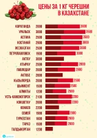 Prices for fruits and berries in Kazakhstan - photo 4