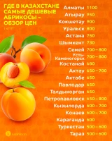 Prices for fruits and berries in Kazakhstan - photo 7