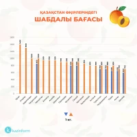 Prices for fruits and berries in Kazakhstan - photo 8