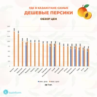Prices for fruits and berries in Kazakhstan - photo 9