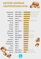 Vegetable Prices in Kazakhstan - photo 6