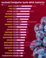Prices for fruits and berries in Kazakhstan - photo 14