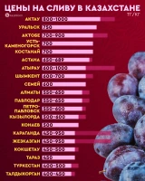 Prices for fruits and berries in Kazakhstan - photo 15