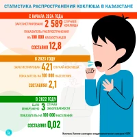 Statistics on the prevalence of whooping cough in Kazakhstan - photo 1