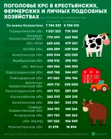 Дара кәсіпкерлер мен шаруа қожалықтарының, жұрттың қолындағы мал мен құс саны - фото 4