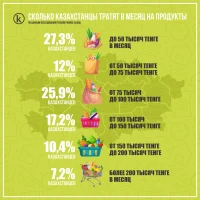 How much Kazakh citizens spend on food - photo 1