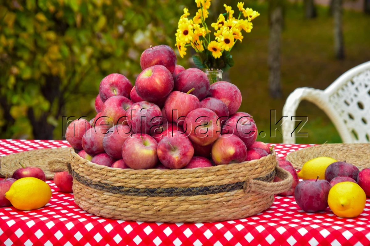An Apple Festival bringing together youth and farmers was held in Astana - photo 1
