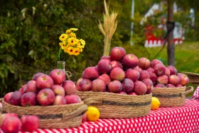 An Apple Festival bringing together youth and farmers was held in Astana - photo 2