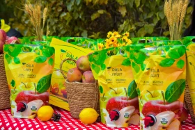 An Apple Festival bringing together youth and farmers was held in Astana - photo 3