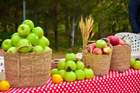 An Apple Festival bringing together youth and farmers was held in Astana - photo 6