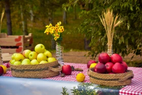 An Apple Festival bringing together youth and farmers was held in Astana - photo 8