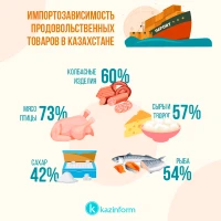 Import dependence of food products in Kazakhstan - photo 1